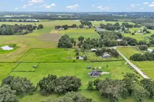 39360 Sparkman Rd, Dade City, FL 33525 - Photo 8