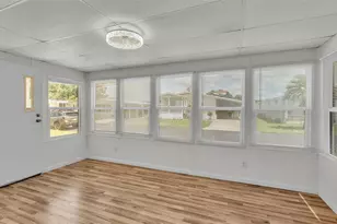 34704 Sweetpea Ln, Zephyrhills, FL 33541 - Photo 14