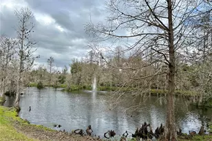 1120 Palmetto Ln, Bowling Green, FL 33834 - Photo 8