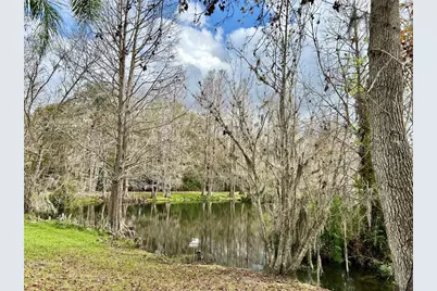 1120 Palmetto Lane, Bowling Green, FL 33834 - Photo 6