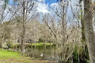 1120 Palmetto Ln, Bowling Green, FL 33834 - Photo 6