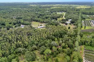 2730 Ranchland Acres Rd, Lakeland, FL 33809 - Photo 70