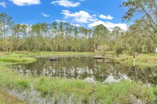 9240 Moore Rd, Lakeland, FL 33809 - Photo 52