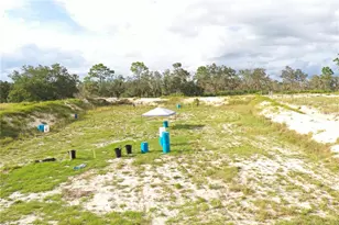 713 Sultenfuss Rd, Babson Park, FL 33827 - Photo 56