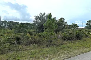 3430 Gerber Ave, Lake Placid, FL 33852 - Photo 2