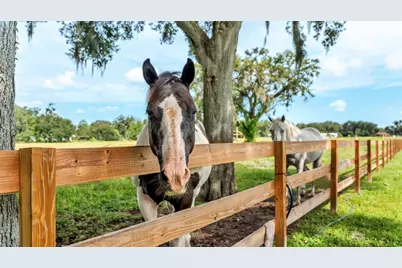 1305 Cherry Lane, Lakeland, FL 33811 - Photo 36