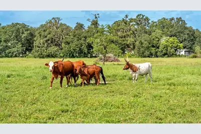 1305 Cherry Lane, Lakeland, FL 33811 - Photo 24