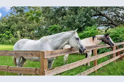 1305 Cherry Lane, Lakeland, FL 33811 - Photo 8