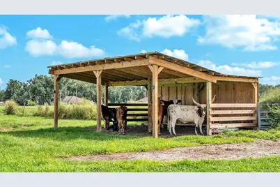 1305 Cherry Lane, Lakeland, FL 33811 - Photo 12