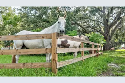 1305 Cherry Lane, Lakeland, FL 33811 - Photo 10