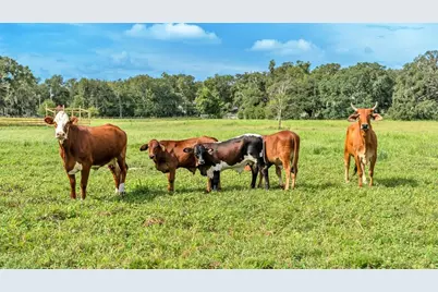 1305 Cherry Lane, Lakeland, FL 33811 - Photo 26