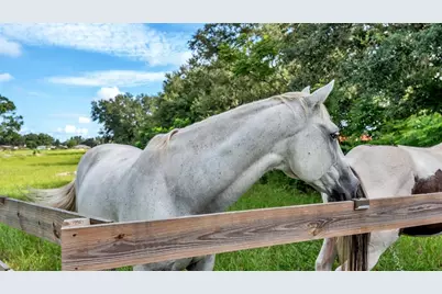 1305 Cherry Lane, Lakeland, FL 33811 - Photo 6