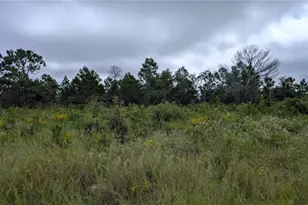 109 Falcon Ct NW, Lake Placid, FL 33852 - Photo 1