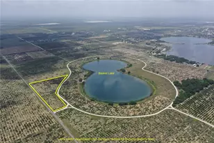 3113 Power Line Rd, Avon Park, FL 33825 - Photo 2