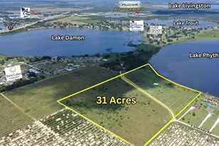 220 E Shockley Rd, Avon Park, FL 33825 - Photo 1