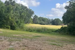 3455 E Fairway Vista Dr, Avon Park, FL 33825 - Photo 22