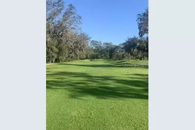 3455 E Fairway Vista Drive, Avon Park, FL 33825 - Photo 8