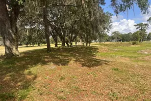 3455 E Fairway Vista Dr, Avon Park, FL 33825 - Photo 24