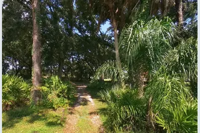 3455 E Fairway Vista Drive, Avon Park, FL 33825 - Photo 4