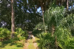 3455 E Fairway Vista Dr, Avon Park, FL 33825 - Photo 4