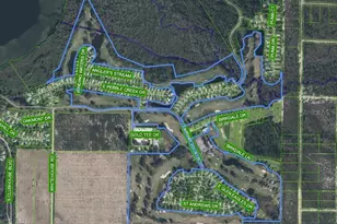 3455 E Fairway Vista Dr, Avon Park, FL 33825 - Photo 10