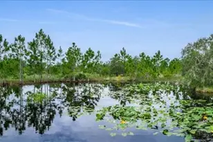30 Milky Wy, Venus, FL 33960 - Photo 42