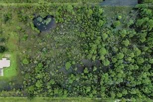 30 Milky Wy, Venus, FL 33960 - Photo 40