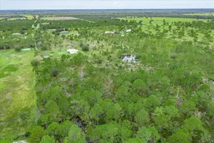 30 Milky Wy, Venus, FL 33960 - Photo 32