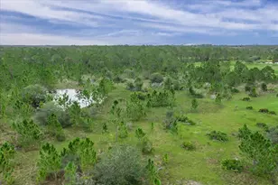 30 Milky Wy, Venus, FL 33960 - Photo 34