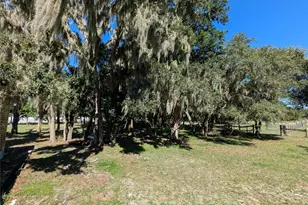5950 Cow Pen Rd, Bartow, FL 33830 - Photo 16