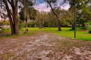 7230 James Stanaland Rd, Plant City, FL 33567 - Photo 22