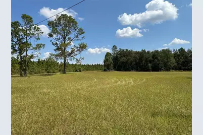 6001 185th Road, Live Oak, FL 32060 - Photo 78