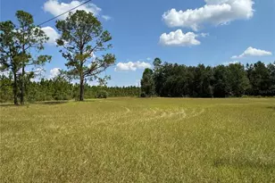 6001 185th Rd, Live Oak, FL 32060 - Photo 78