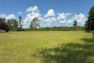 6001 185th Rd, Live Oak, FL 32060 - Photo 68