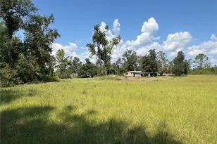 6001 185th Rd, Live Oak, FL 32060 - Photo 72