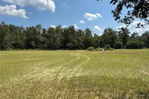 6001 185th Rd, Live Oak, FL 32060 - Photo 76