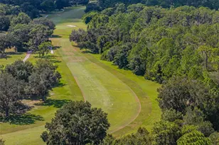 6309 Avocado Dr, Indian Lake Estates, FL 33855 - Photo 74