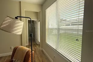 20106 Blue Daze Ave, Tampa, FL 33647 - Photo 54