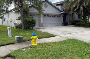 20106 Blue Daze Ave, Tampa, FL 33647 - Photo 4