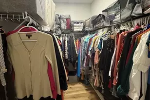 20106 Blue Daze Ave, Tampa, FL 33647 - Photo 22