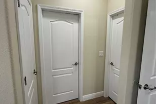 20106 Blue Daze Ave, Tampa, FL 33647 - Photo 12