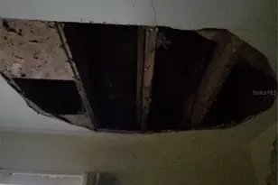 725 Hickory Hammock Rd, Lake Wales, FL 33859 - Photo 28