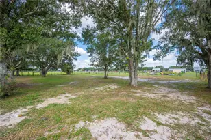 216 Corbett Rd, Lithia, FL 33547 - Photo 76
