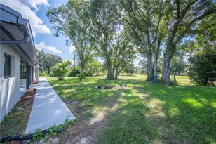 216 Corbett Rd, Lithia, FL 33547 - Photo 80