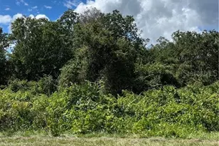 1130 S Gabriel Rd, Avon Park, FL 33825 - Photo 1