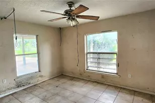 1205 E Knights Griffin Rd, Plant City, FL 33565 - Photo 24