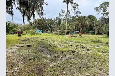 1003 Saint Catherine Avenue, Christmas, FL 32709 - Photo 12