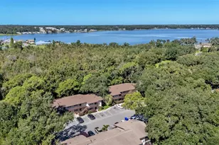 141 Fernery Rd, Lakeland, FL 33809 - Photo 26