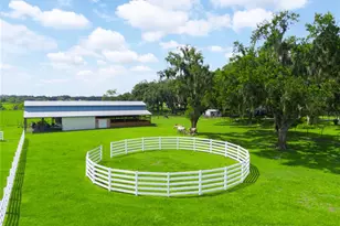 1096 Drew St, Lakeland, FL 33810 - Photo 50