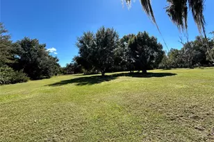 9720 N Road 33, Polk City, FL 33868 - Photo 18